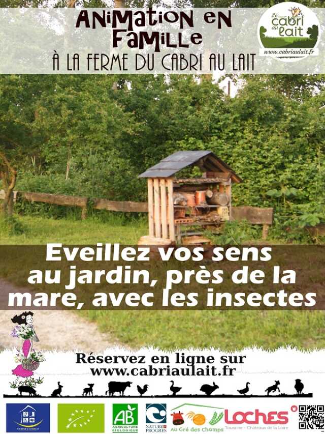 Atelier découverte : Vos sens en éveil au jardin