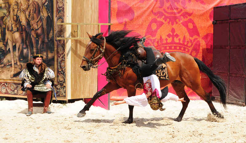 Spectacle chevaux et rapaces au château de Chambord - François 1er, le Roi-Chevalier