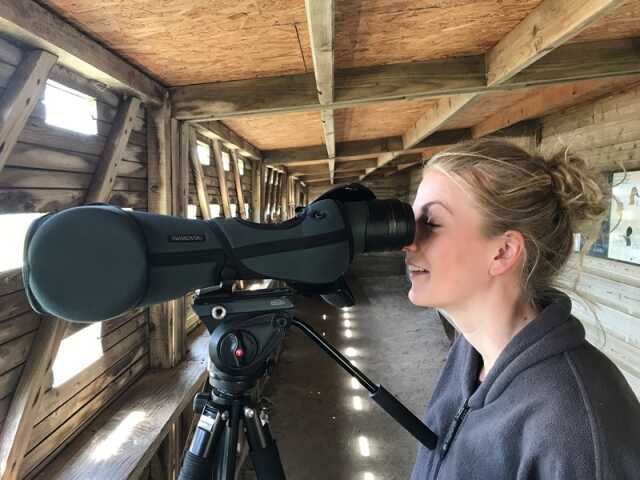 Stage ornithologique à la journée