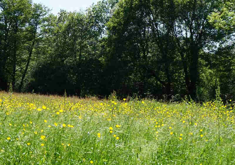 Randonnée pédestre et VTT