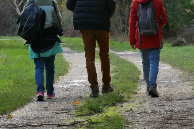 Randonnée pédestre de l'Association de marcheurs de Concremiers