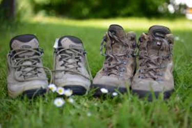 Randonnée et footing dans la forêt