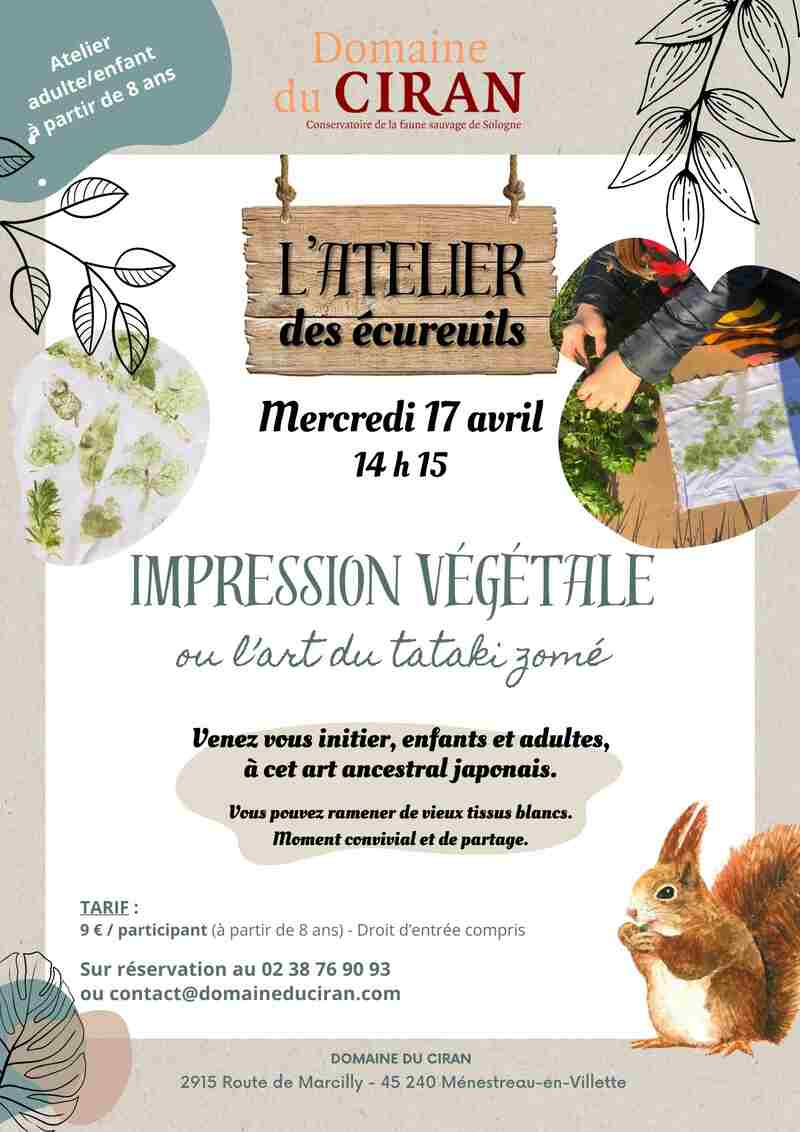 Impression végétale : l'art du tataki zomé