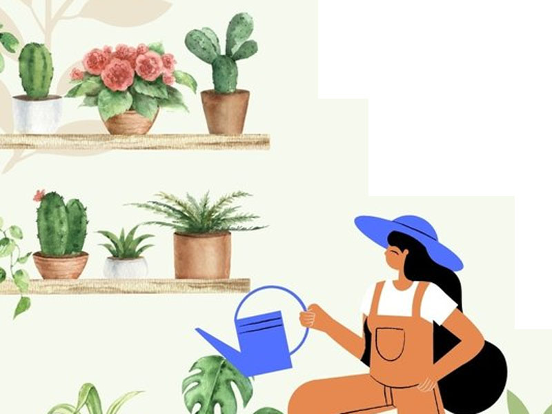 Troc des plantes