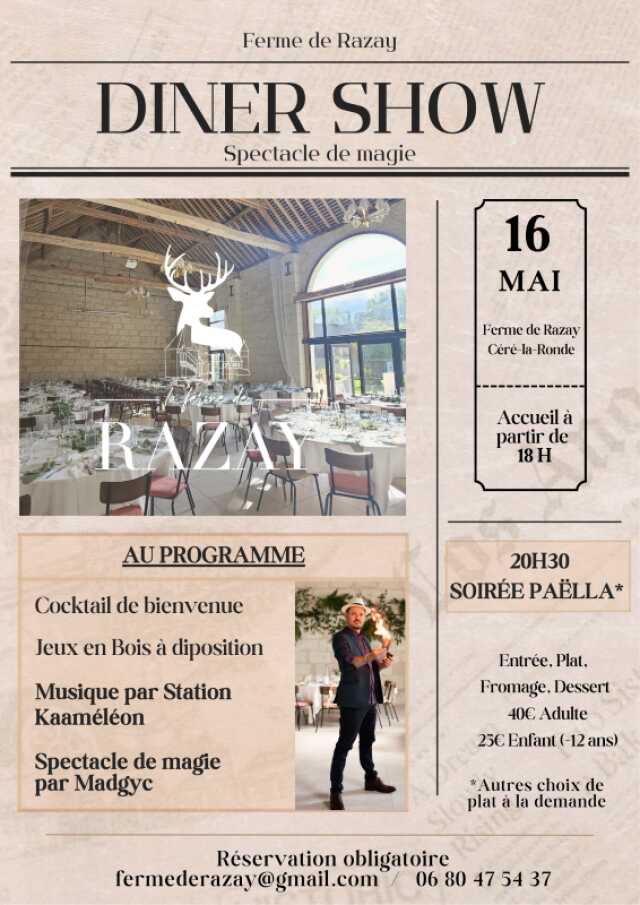 Diner Show : spectacle de magie