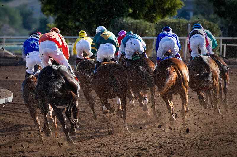 Course poneys au galop