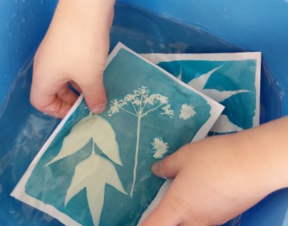 Atelier cyanotype 