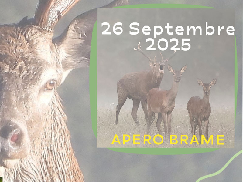 Apéro Brame