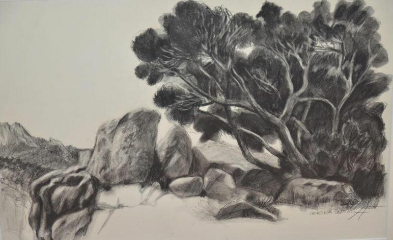 Exposition : à fleur de peau