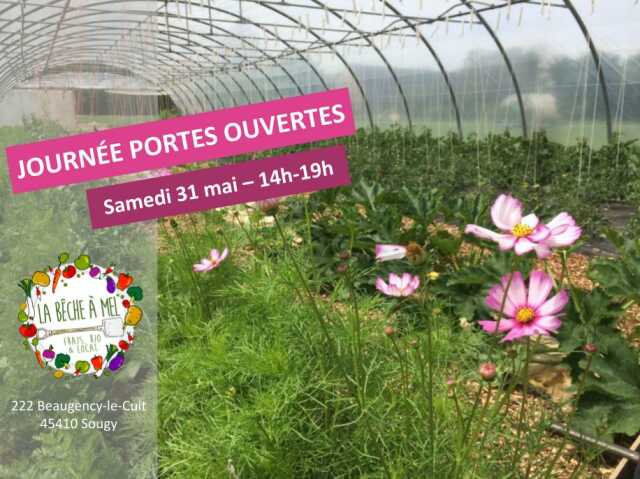 Visite de la ferme et marché de produits locaux