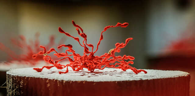 Installation artistique et plastique de Marie-France Hurbault