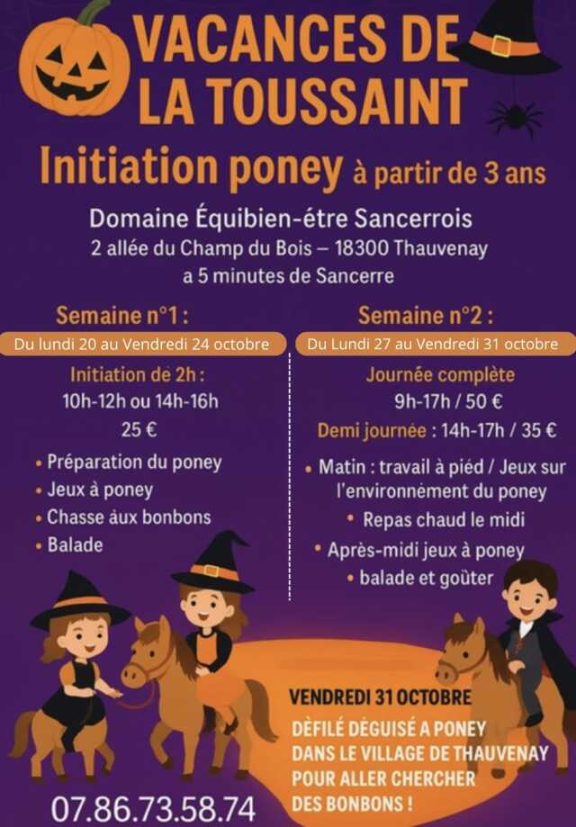 Animations poney