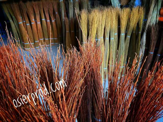 Visite d'une exploitation productrice d'osier 