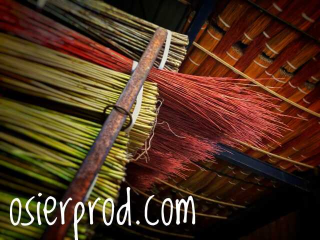 Visite d'une exploitation productrice d'osier 