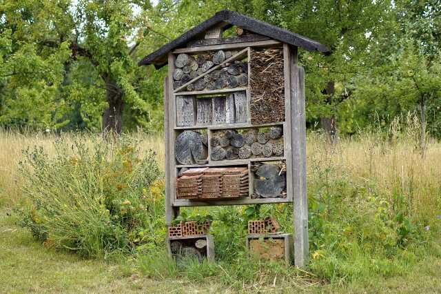Semaine européenne du développement durable : Atelier création d'un gîte à insectes