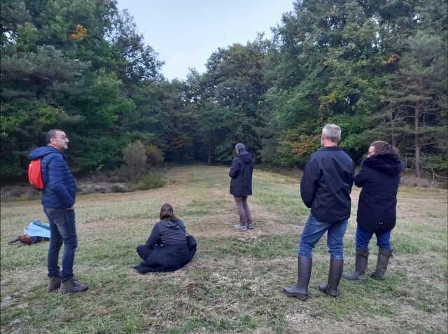 Sortie découverte du brame en forêt d'Habert