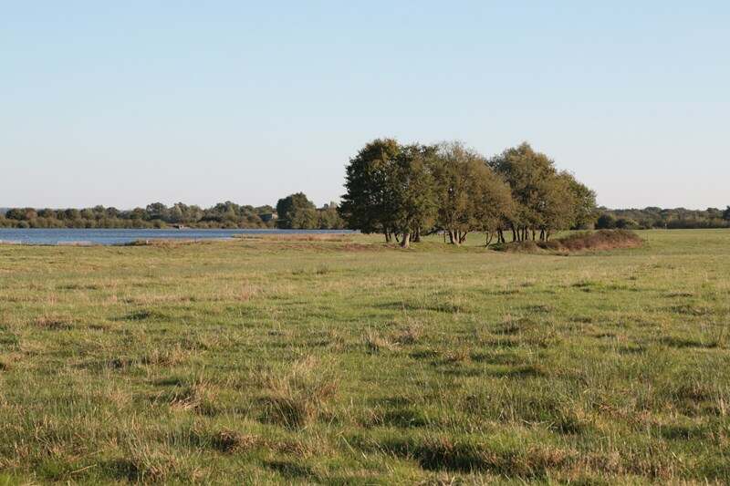 Histoire des paysages et des étangs de la Brenne