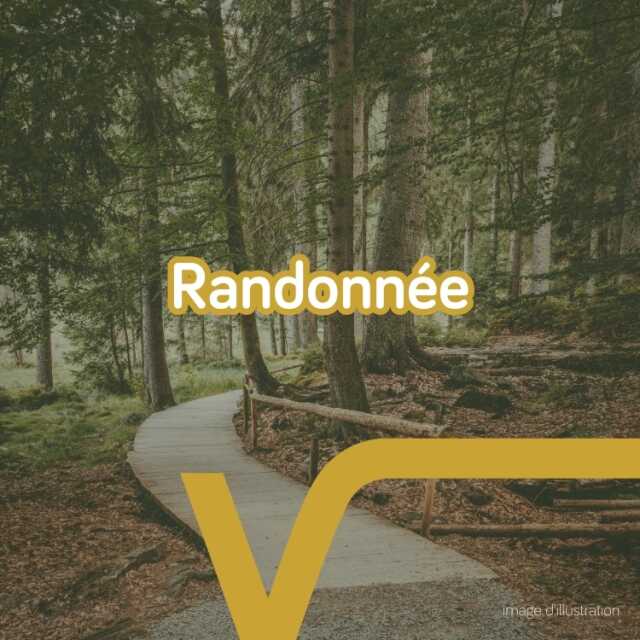 Randonnée pédestre