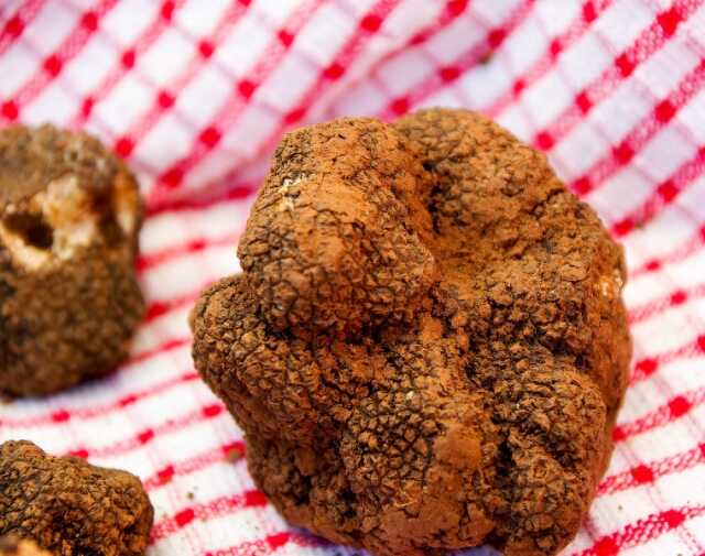 Marché aux truffes et aux produits régionaux