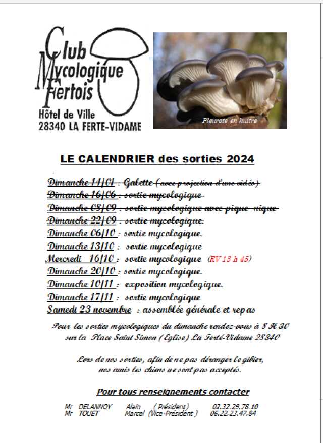 Sorties mycologiques