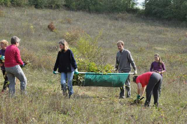 Chantier nature aux Larris !