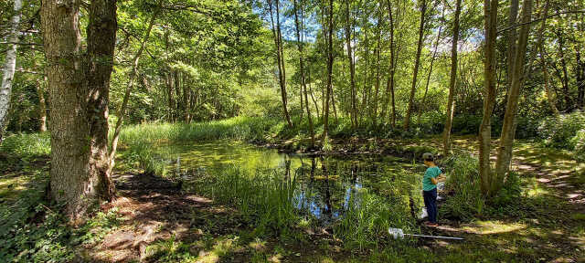 Sortie nature à Vauclair : 