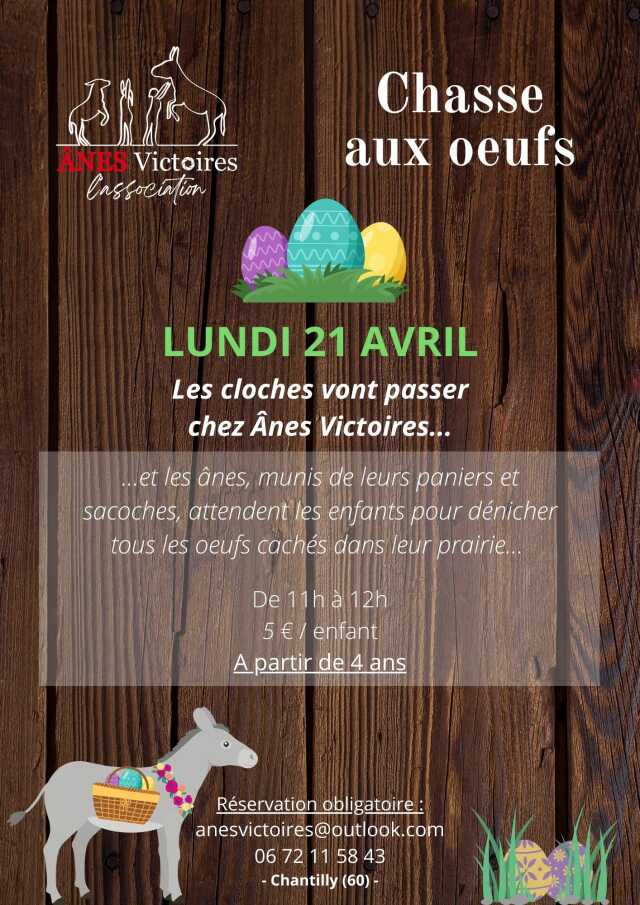 Chasse aux œufs à Chantilly chez Ânes Victoires