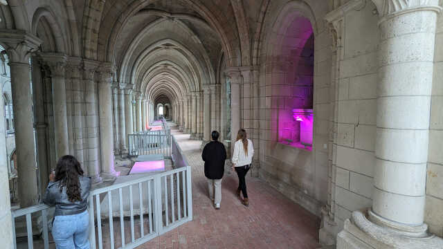 Visite guidée des hauteurs de la cathédrale à Laon