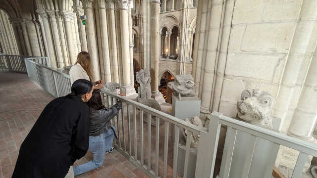 Visite guidée des hauteurs de la cathédrale à Laon