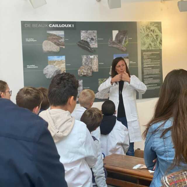 Fête de la Science | Plonger dans l’univers fascinant des coquillages devenus fossiles !