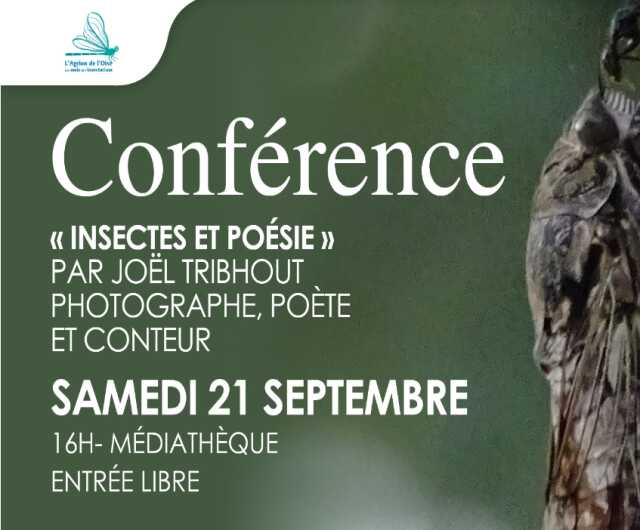 Conférence | insectes et poésie