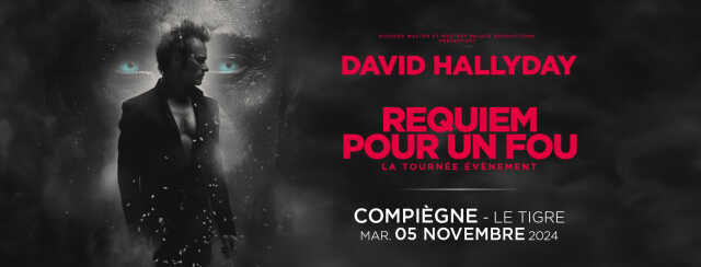 David Hallyday – Requiem pour un fou