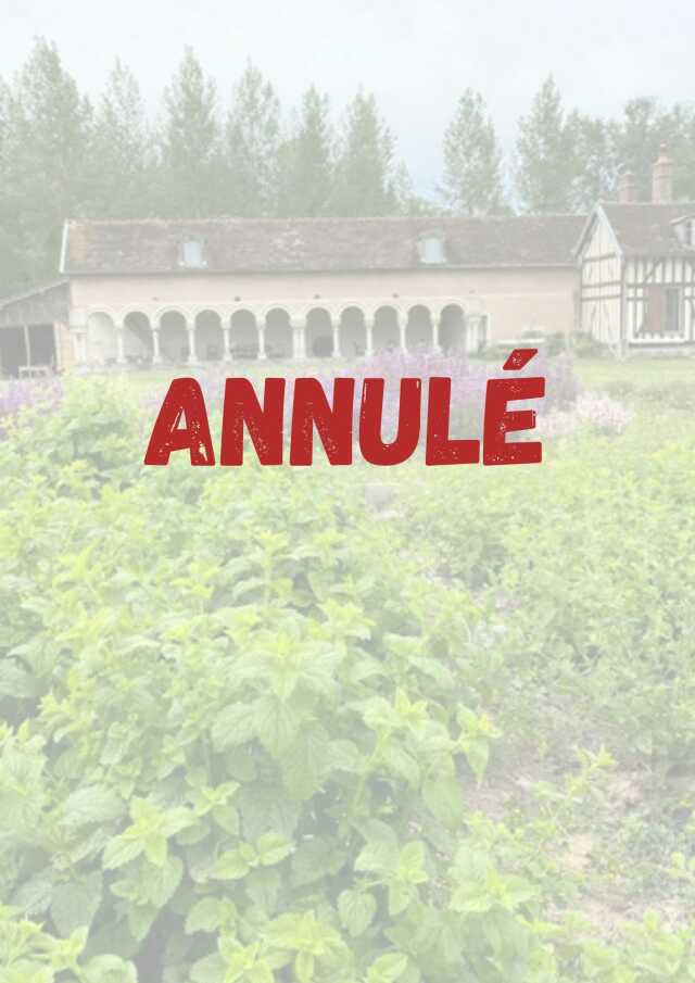ANNULÉ - Visite guidée des vestiges de l'Ancienne Abbaye de Basse Fontaine