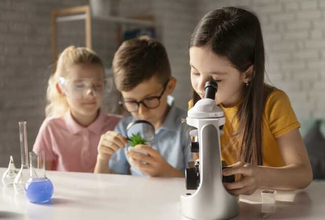 Atelier science : fabrique tes fossiles
