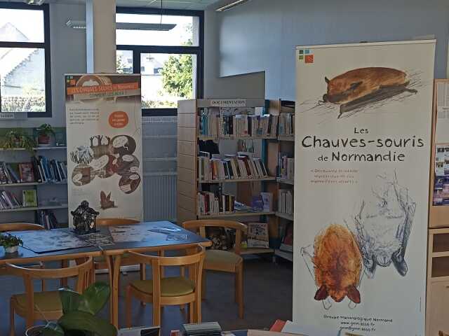 Exposition Chauve-souris en Normandie