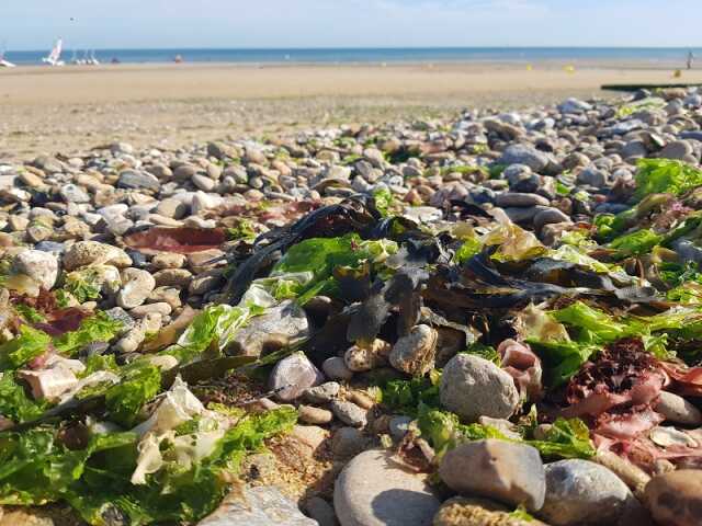 Sur la plage, abandonnés...