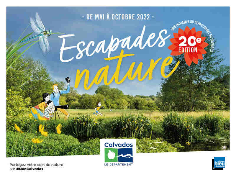 Nuit internationale de la Chauve-souris au bois du Breuil