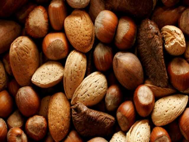Salon Saveurs d'Automne - Livarot