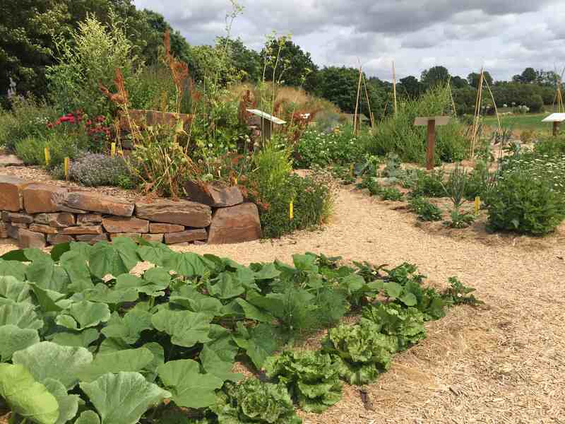 J'adapte mon potager à la sécheresse avec la permaculture