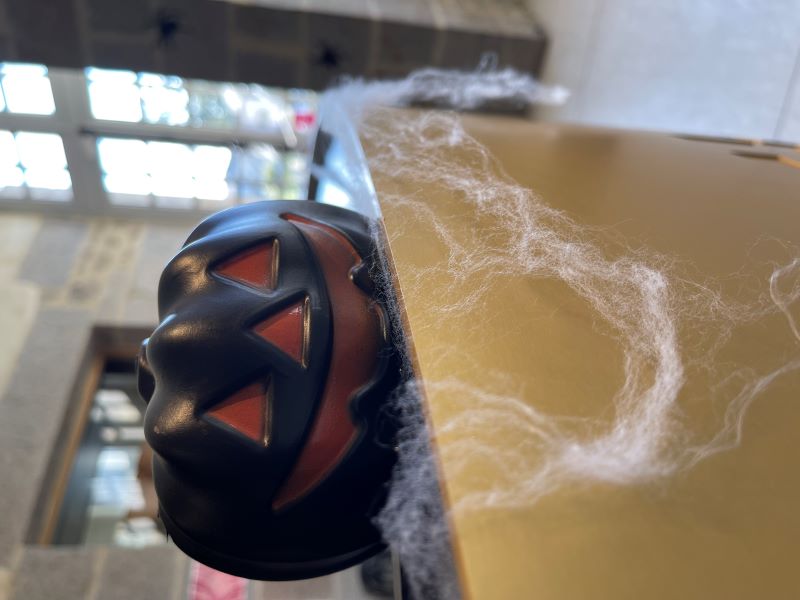 Halloween au Musée de Vire