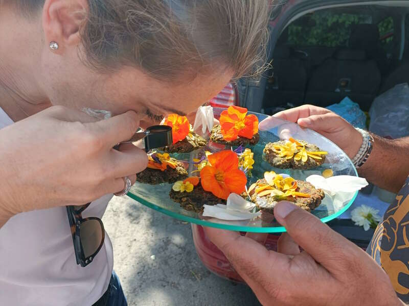 Trouver ses légumes dans la nature