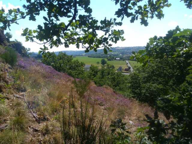 Les lutins des rochers