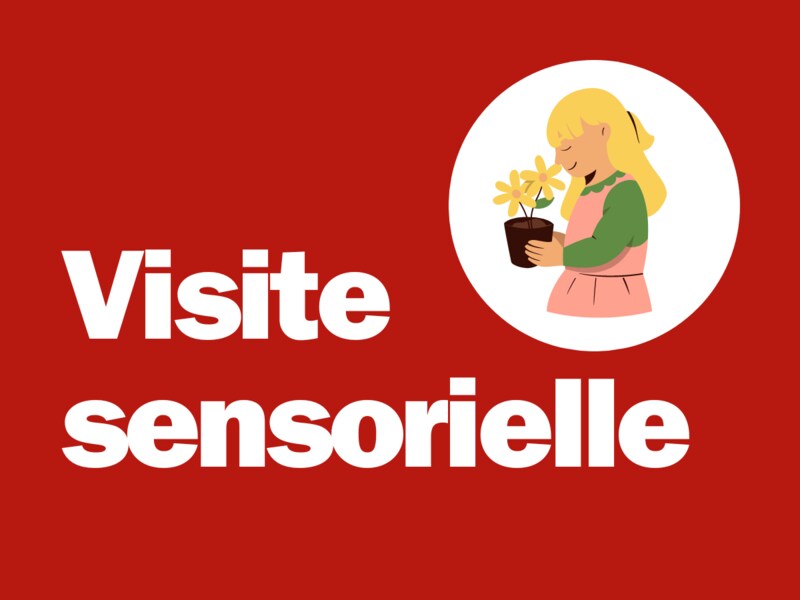 Visite sensorielle, 3-6 ans