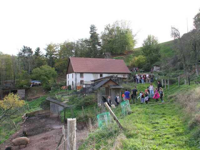 Halloween à la ferme : sur les traces du roi Arthur