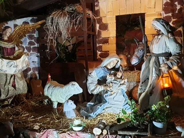 Visite commentée de la crèche de la nativité de la Basilique