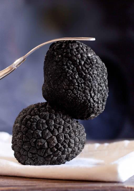 21ème Fête régionale de la Truffe en Lorraine
