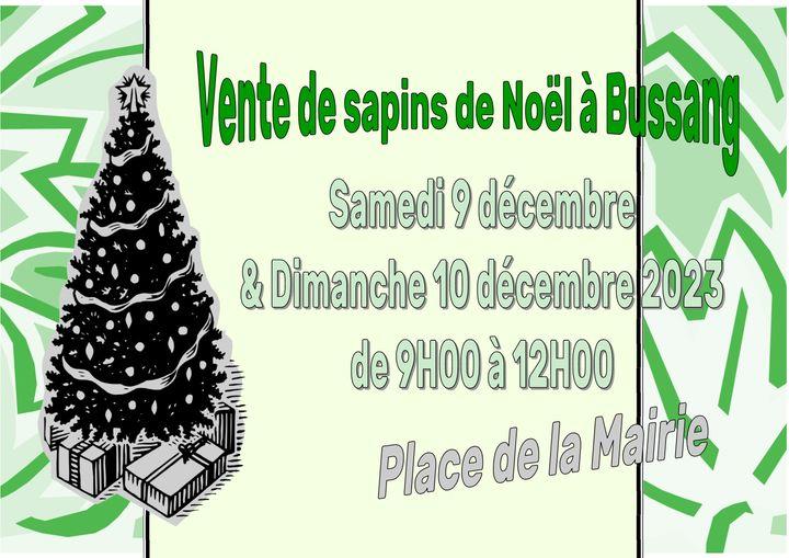 VENTE DE SAPINS DE NOËL