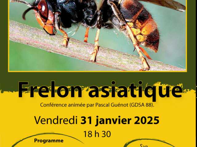 RÉUNION PUBLIQUE D'INFORMATION SUR LE FRELON ASIATIQUE