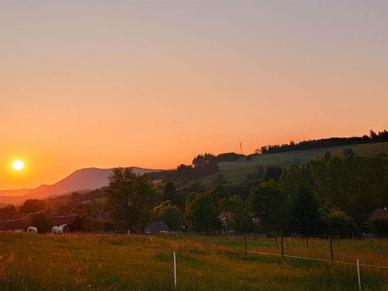 BALADE ÉQUESTRE AU COUCHER DU SOLEIL