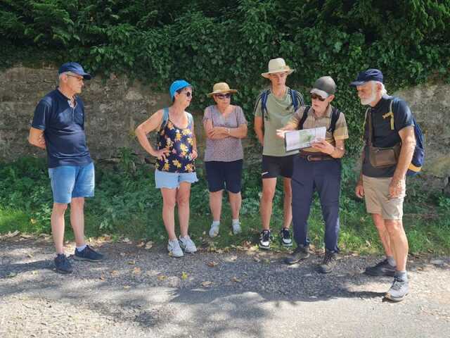 JEP 2025 - Balade sur les arbres remarquables dans le massif de l'Avison